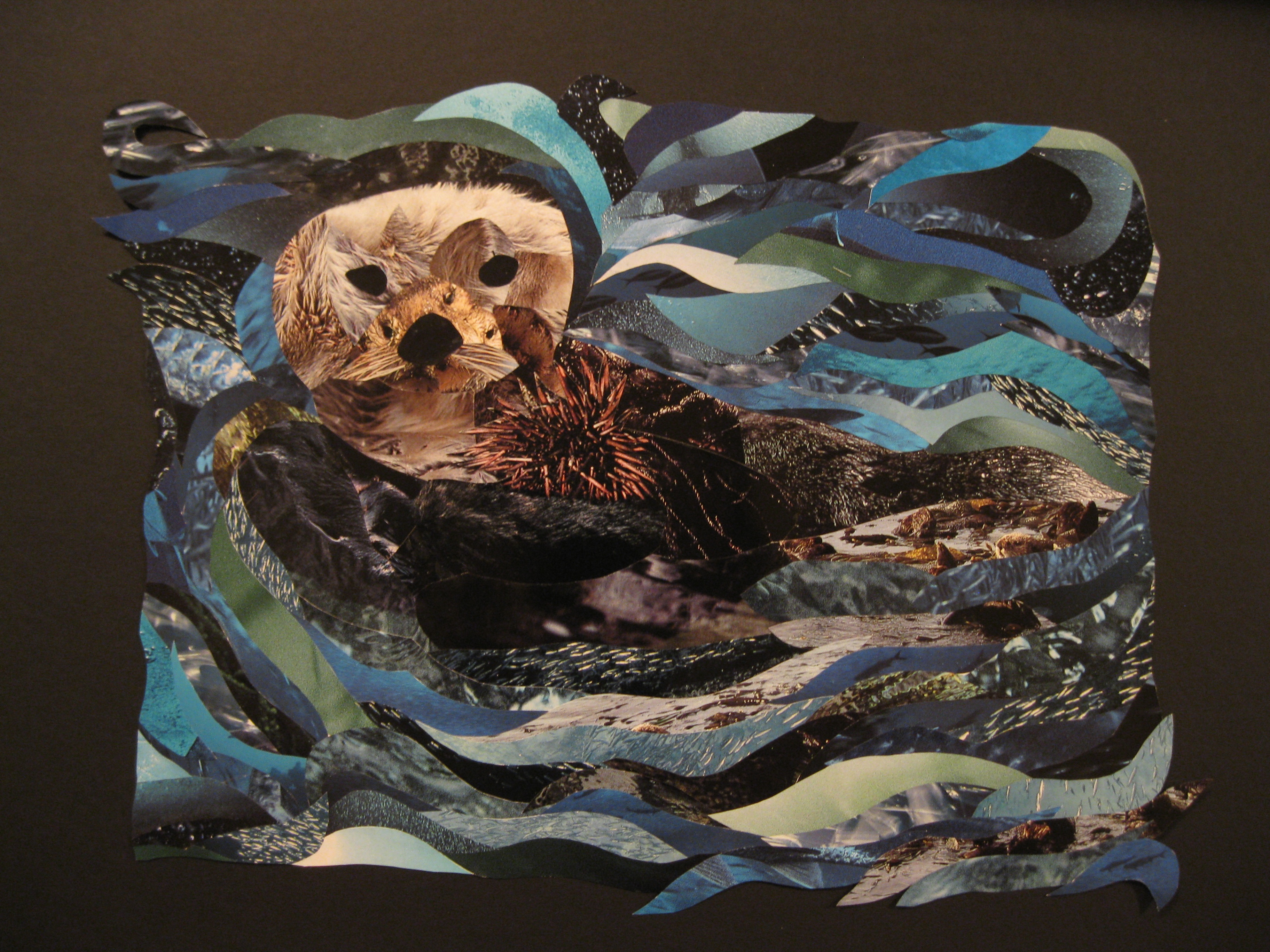 Otter Collage